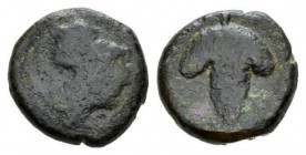 Locris, Locris Opuntii Bronze First quarter of the III cent. BC, Æ 12mm., 3.05g. Athena helmeted r. Rev. Bunch of grapes hanging from stalk with tendr...