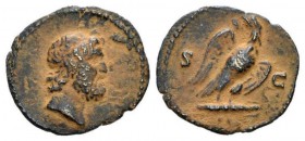 Anonymous issues. Time of Domitian to Antoninus Pius, AD 81-161 Quadrans 81-161, Æ 19mm., 2.09g. Diademed head of Jupiter r. Rev. Eagle standing facin...