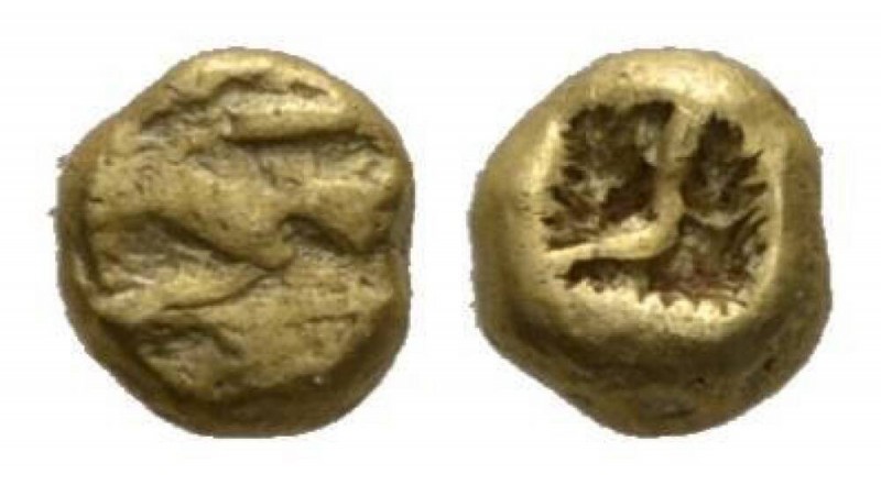 Ionia, Uncertain mint 1/24 Stater 650-600, EL 5.5mm., 0.65g. Flattened striated ...