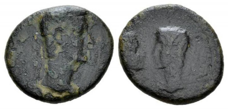 Ionia, Smyrna Gaius, 37-41 Bronze 37-41, Æ 20mm., 4.57g. Laureate head of Caligu...