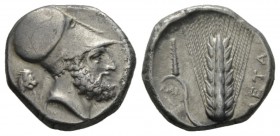 Lucania, Metapontum Nomos 320-300, AR 20mm., 7.79g. Nomos circa 320-300, AR 7.81 g. Helmeted head of Leucippus r.; below chin, PA ligate; behind, lion...