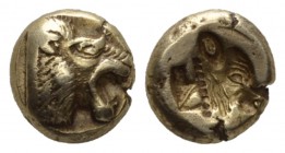 Lesbos, Mytilene Hecte circa 521-478, EL 10mm., 2.51g. Head of lion l., with open jaws. Rev. Calf's head r., incuse. Dewing 559. Bodenstedt 13 D/μ.
...
