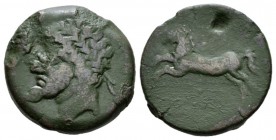 Numidia, Massinissa 203-148 or Micipsa, 148-118. Bronze 208-148, Æ 24mm., 15.04g. Laurel wreath r. Rev. Horse gallopping l. SNG Cop. 513.
 
 Fine/Ab...