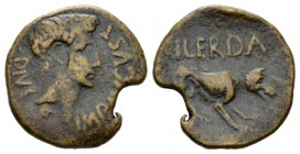 Hispania, Ilearda Octavian as Augustus, 27 BC – 14 AD As After 27 BC, Æ 22mm., 6.11g. IMP CAESAR DIVI F Bare head r. Rev. MVN ILERDA She wolf r. RPC 2...