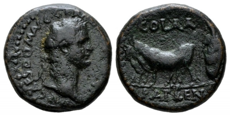 Achaia, Patrae Domitian, 81-96 Bronze 81-96, Æ 23mm., 11.02g. Laureate head r. R...