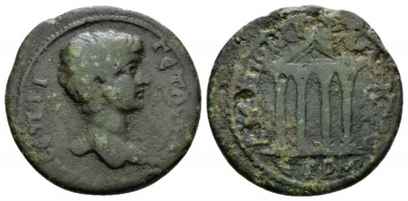 Pontus, Neocaesarea Geta, 209-212 Bronze 209-210, Æ 31mm., 14.97g. Bareheaded bu...