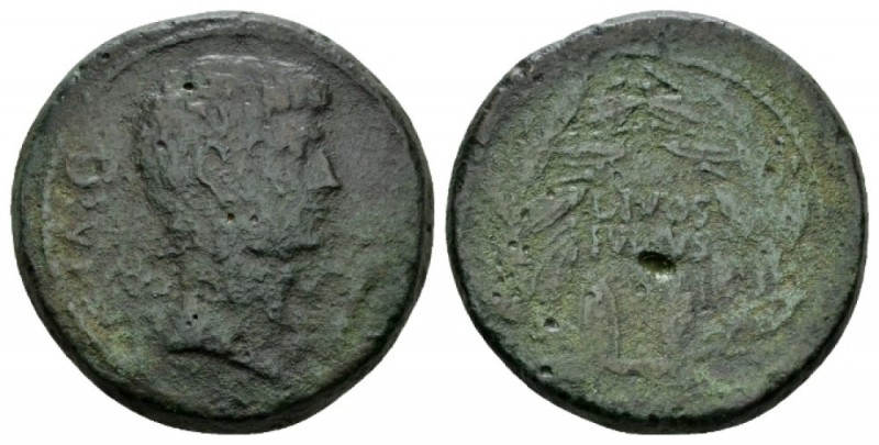 Octavianus. Bronze Italy 38, Æ 30.5mm., 19.56g. DIVI·F Bare head of Octavian r. ...