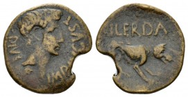 Hispania, Ilearda Octavian as Augustus, 27 BC – 14 AD As After 27 BC, Æ 22mm., 6.11g. IMP CAESAR DIVI F Bare head r. Rev. MVN ILERDA She wolf r. RPC 2...