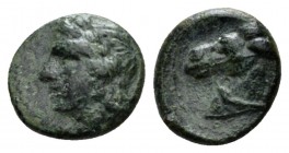 Sicily, Tyndaris Bronze 276-253, Æ 13.5mm., 2.01g. Laureate head of Apollo l. Rev. Head of horse l.. Calciati 3. SNG München 1580.

Rare. Green pati...