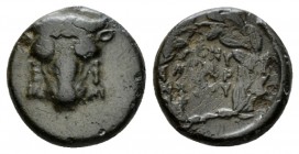 Phocis, Bronze circa 354-352, Æ 15.5mm., 3.85g. Facing bull’s head with the sacrificial fillet. Rev. ONΥ-MAΡ-XOΥ in three lines, all enclosed in laure...