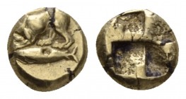 Mysia, Cyzicus Hemihecte circa 550-475, EL 8mm., 1.12g. Panther l., below tunny. Rev. Quadripartite incuse square. Von Fritze - cf. 86 (stater). SNG F...