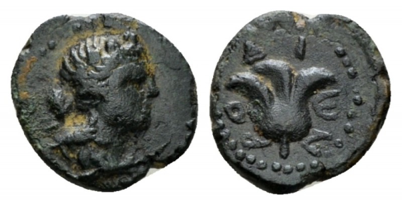 Islands off Caria, Rhodes Bronze 43 BC- 96 AD, Æ 13mm., 1.42g. Head od Dionysus ...