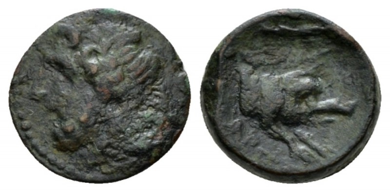 Apulia, Arpi Sextans circa 325-275, Æ 15.5mm., 3.06g. Laureate head of Zeus l., ...