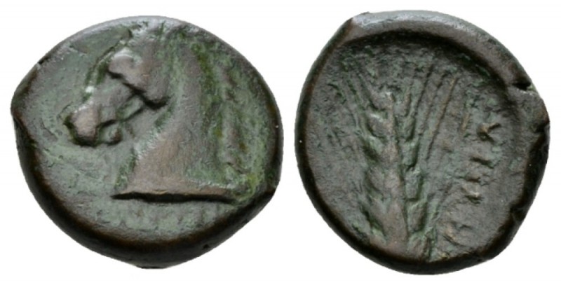 Apulia, Ausculum Obol circa 300-275, Æ 20.5mm., 7.68g. Horse head l. Rev. AYI YΣ...