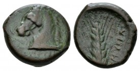 Apulia, Ausculum Obol circa 300-275, Æ 20.5mm., 7.68g. Horse head l. Rev. AYI YΣKΛI Grain ear. SNG ANS 647. Historia Numorum Italy 651.

Rare. Bron ...