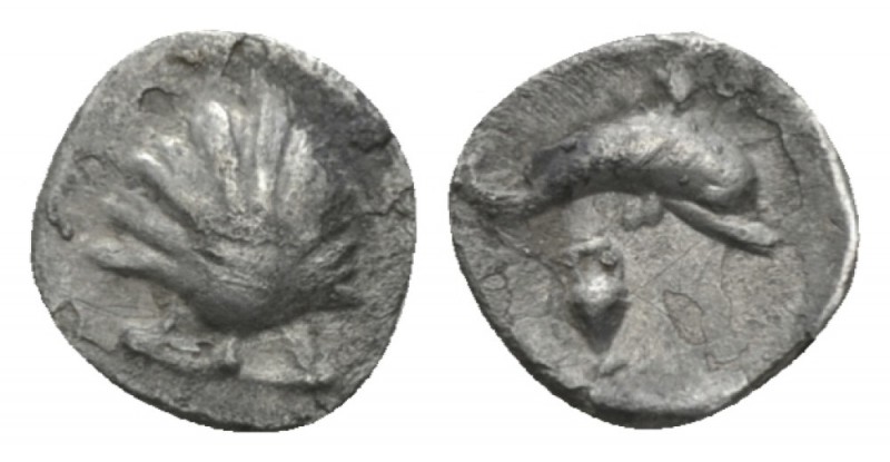 Calabria, Tarentum Litra circa 325-280, AR 10mm., 0.59g. Cockle shell. Rev. Dolp...