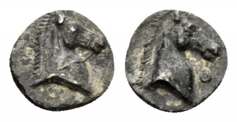 Calabria, Tarentum 3/4 Obol circa 325-280, AR 8mm., 0.37g. Horse's head r. Rev. ...