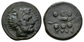 Sicily, Solus Hemilitron circa 400-350, Æ 21mm., 7.34g. Bearded head of Heracles r., wearing lion-skin headdress. Rev. Punic 'kfr' retrograde. Crayfis...