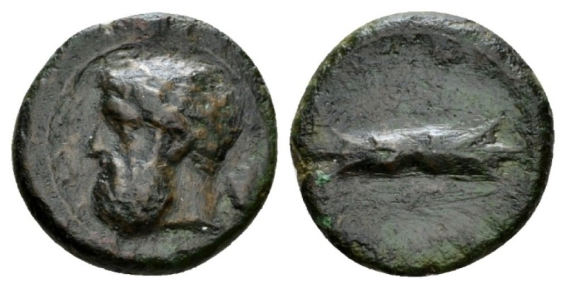 Sicily, Timoleon, 344-336 Syracuse Litra circa 342-338, Æ 17mm., 4.05g. ZEYΣ EΛE...