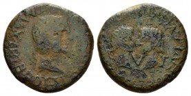 Hispania, Tarraco Augustus, with Caius and Lucius Caesars. 27 BC-AD 14 As 2 BC - 4 AD, Æ 23.5mm., 8.43g. Laureate head of r. Rev. Conrfonted bare head...