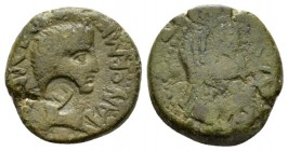 Sicily, Panormus Tiberius, with Julia Augusta (Livia). Bronze 14-37, Æ 21.5mm., 9.83g. Bare head of Tiberius r. Rev. Veiled head of Julia Augusta (as ...
