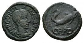 Thrace, Deultum Gordian III, 238-244 Bronze 238-244, Æ 18mm., 3.42g. Laureate, draped and cuirassed bust r. Rev. Dolphin r. Varbanov 2888.

Very Fin...
