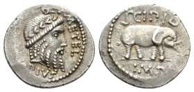 Q. Caecilius Metellus Pius Scipio. Denarius Africa 47-46, AR 19.5mm., 3.92g. Q·METEL Laureate head of Jupiter r.; below, PIVS. Rev. SCIPIO Elephant r....