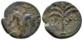 Judaea, Second revolt. Bar-Kokhba war, 132-135. Jerusalem Middle bronze 133-134, Æ 26.5mm., 9.23g. Palm tree. Rev. Wine leaf on tendril. Mildenberg 49...