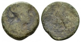 The Ptolemies, Cleopatra VII Thea Neotera, 51-30 Alexandria Obol - 40 Drachmai. 51-30, Æ 20.5mm., 7.30g. Diademed and draped bust r. Rev. BAΣIΛIΣΣHΣ K...