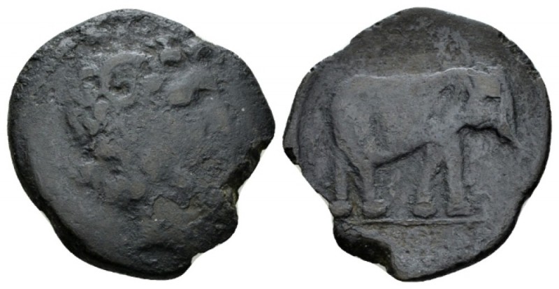 Numidia, Juba I, 60-46. Bronze circa 60-46, Æ 28mm., 7.72g. Head of Zeus-Ammon r...