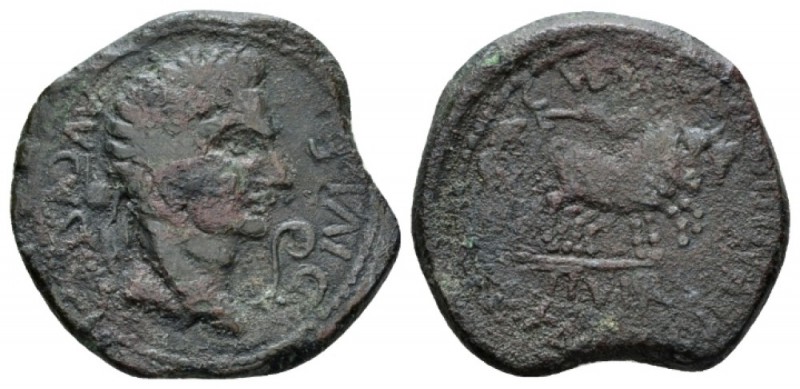 Hispania, Caesaraugusta Octavian as Augustus, 27 BC – 14 AD As 8-1 BC, Æ 30mm., ...