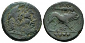 Apulia, Teate Quadrunx circa 225-200, Æ 25mm., 11.49g. Bearded head of Heracles r. Rev. TIATI Lion advancing r.; below, star and in exergue, four pell...