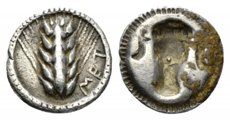 Lucania, Metapontum Triobol circa 470-440, AR 14mm., 1.22g. MET Barley-ear. Rev....