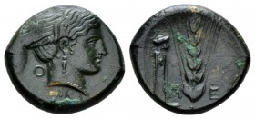 Lucania, Metapontum Bronze circa 425-350, Æ 21.5mm., 6.92g. Head of Nike r.; below, NIKA. Rev. M-E Barley-ear; in l. field, ithyphallic herm. SNG ANS ...
