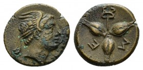 Lucania, Metapontum Bronze circa 300-250, Æ 14.5mm., 2.28g. Bust of Hermes r. Rev. M-E three grains; caduceus. SNG ANS 580. Historia Numorum Italy 167...