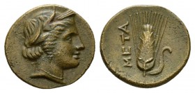 Lucania, Metapontum Bronze circa 300-250, Æ 16mm., 2.74g. Head of Demeter r., wearing barley-wreath and pendant earring. Rev. META Barley-ear with lea...
