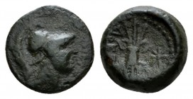 Bruttium, Locri Bronze circa 320-275, Æ 12.5mm., 1.93g. Head of Athena r., wearing Corinthian helmet. Rev. OKPN Winged thunderbolt; in l. field, sta...