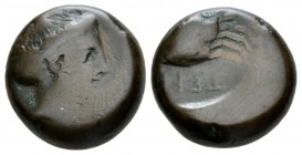 Bruttium, Terina Bronze circa 350-275, Æ 21.5mm., 16.63g. Female head r. Rev. TEPI Crab. SNG ANS 885 var. Historia Numorum Italy 2644.

Rare. Brown ...