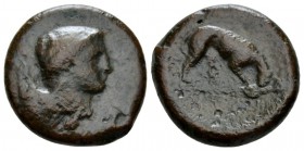 Sicily, Agyrion Hemilitron circa 334-317, Æ 27mm., 16.32g. Head of Heracles r., wearinh lion-skin. Rev. AΓYPINAION Panther gnawing ram’s head r. CNAI ...