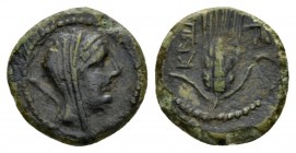 Campania, Capua Bronze circa 216-211, Æ 14.5mm., 2.35g. Diademed and veiled bust of Hera r.; lotus-tipped sceptre over shoulder. Rev. KAPV in oscan ch...