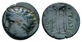 Campania, Neapolis Bronze circa 300-275, Æ 20mm., 2.15g. Laureate head of male (Apollo?) l.; behind neck, cornucopia. Rev. Tripod. Taliercio Group IIb...