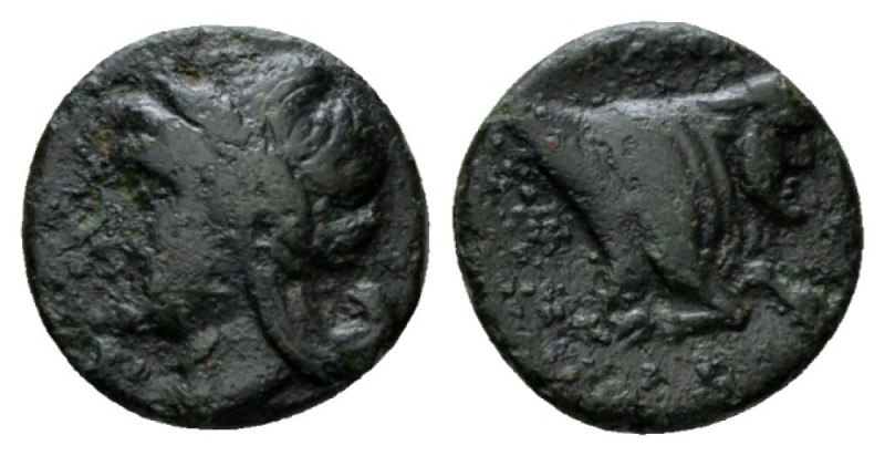 Campania, Neapolis Half litra circa 300-275, Æ 14mm., 2.02g. Laureate head of Ap...