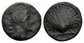 Apulia, Luceria Biunx circa 217-212, Æ 18.5mm., 6.72g. Veiled and wreathed head of Ceres r.; behind, two pellets. Rev. LOVCERI Scallop shell SNG ANS 7...