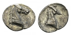 Calabria, Tarentum 3/4 Obol circa 325-380, AR 10.5mm., 0.50g. Head of horse r. Rev. Head of horse r. Vlasto 1690. Hisotria Numorum Italy 981.

About...