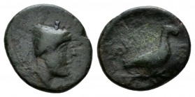 Calabria, Orra Bronze circa 250-225, Æ 17mm., 3.95g. Helmeted head r. Rev. Eagle standing r., on thunderbolt. SNG ANS 817. Historia Numorum Italy 785....
