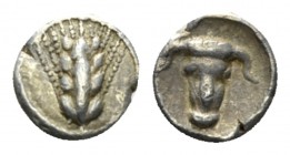Lucania, Metapontum Hemiobol circa 440-430, AR 8mm., 0.41g. Barley-ear. Rev. Ox head. Historia Numorum Italy 1500.
 
 About Extremely Fine.
 
 Fro...