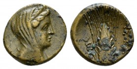 Lucania, Metapontum Bronze circa 300-250, Æ 16mm., 3.24g. Veiled bust of Demeter r. Rev. META Barley-ear; on l., monogram. Historia Numorum Italy 1693...