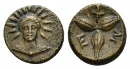 Lucania, Metapontum Bronze circa 300-250, Æ 13mm., 2.06g. Facing bust of Helios. Rev. M – E Three barley grains in the shape of a star; below, racing ...