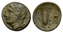 Lucania, Metapontum Bronze circa 300-250, Æ 14.5mm., 2.71g. Laureate head of Apollo r. Rev. META Barley ear; on r., tripod. Historia Numorum Italy 167...
