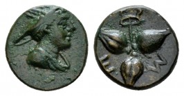 Lucania, Metapontum Bronze circa 300-250, Æ 11.5mm., 2.06g. Head of Hermes r., wearing petasos Rev. ME Three barley-grains radiating from centre. John...